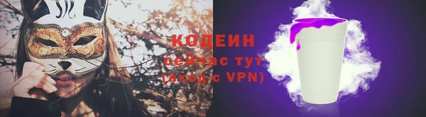 мдпв Вязьма